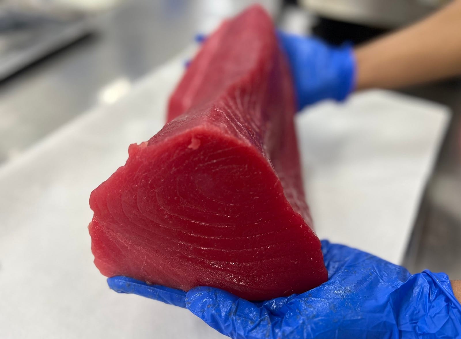 Yellowfin Tuna - Loins
