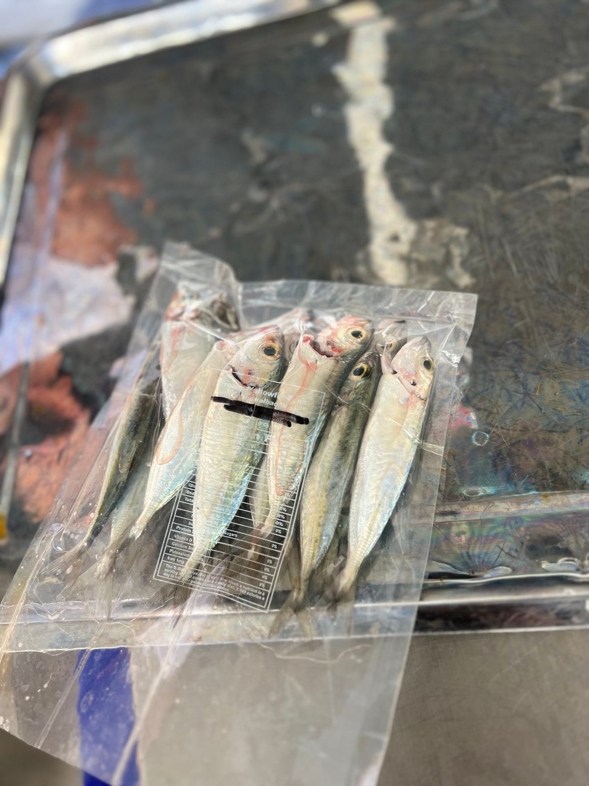 Mackerel - Whole Fish