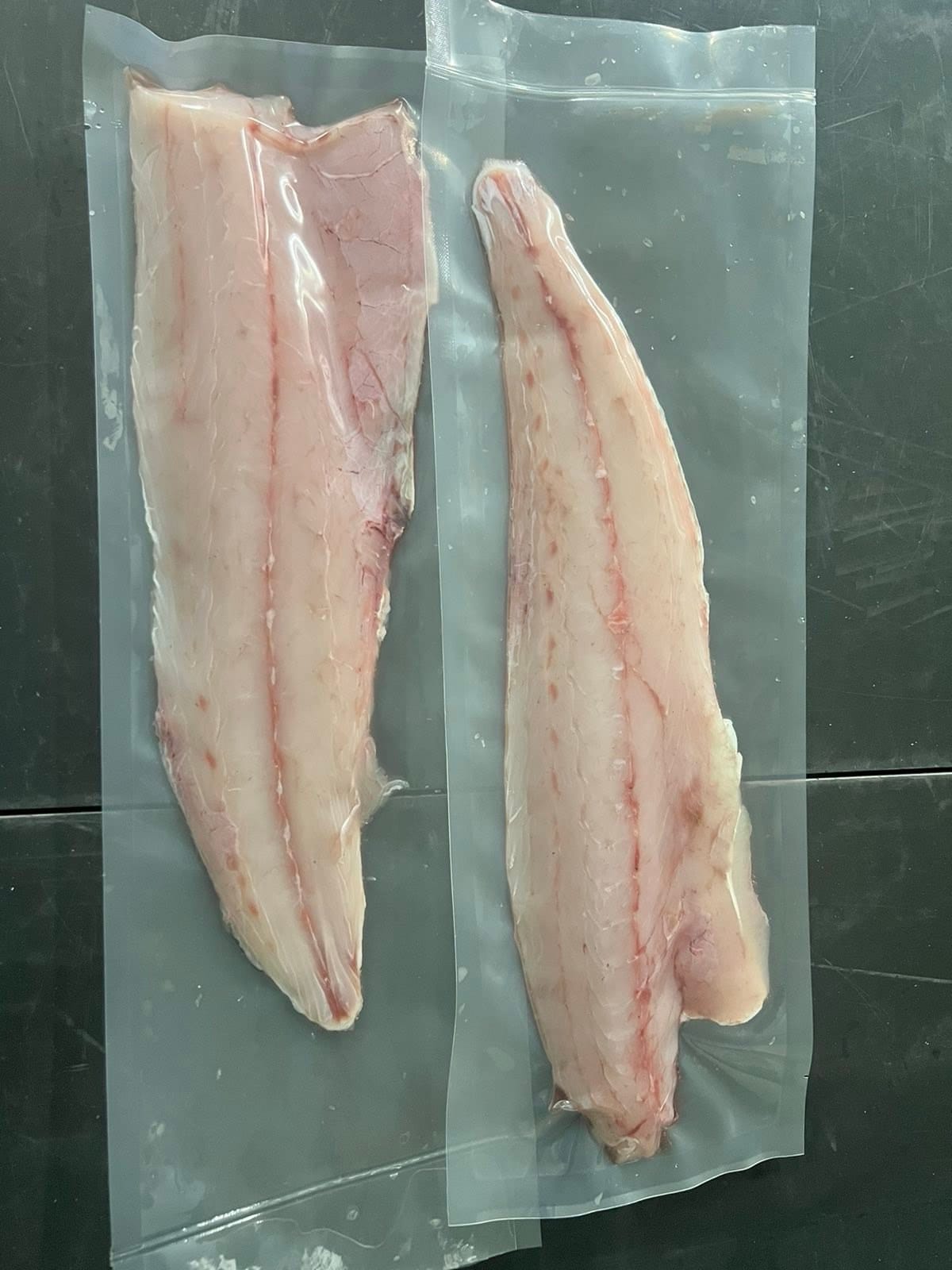 Reef Fish - Fillet